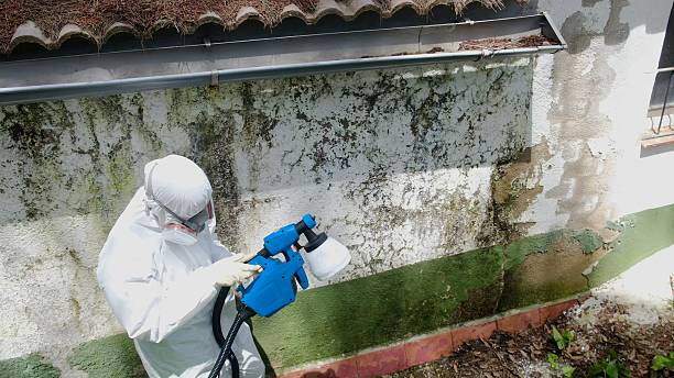 Top rated local Attic Mold Remediation specialists in Dickerson, MD
